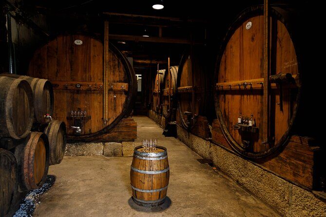 Soul & Excellence - PORT Wine Tasting - What Happens During the 1-Hour Tasting and Cellar Visit