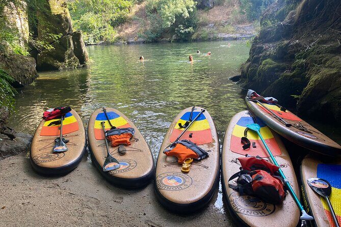 Stand-up-Paddle tour in Paiva river - Key highlights you can actually use