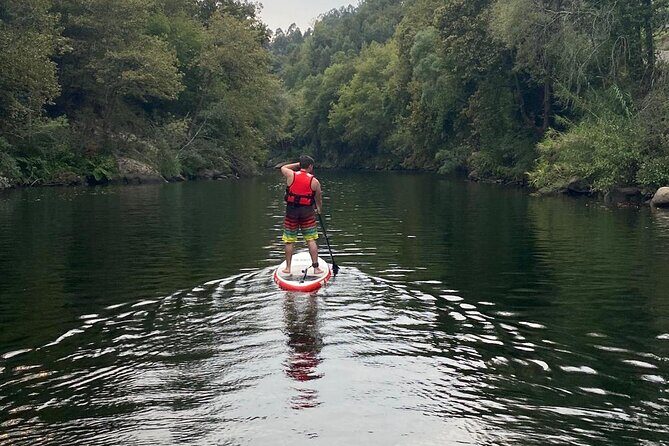Stand-up-Paddle tour in Paiva river - Wildlife, river stories, and why you should pay attention