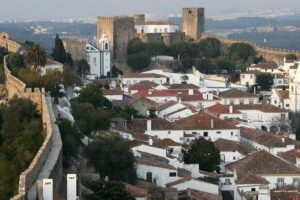 Tour Between Lisbon - Porto or Porto-Lisbon with several stops - Price and Logistics: What $694.99 Really Buys