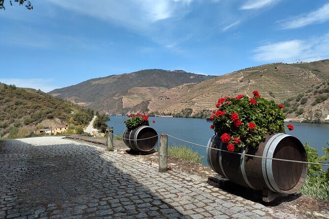 Tour- Douro Wine Region- The Douro Wine Route - Stop 3: Peso da Régua, where the tour avoids the cookie-cutter wineries