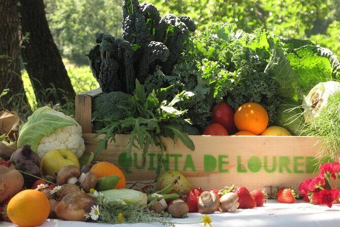 Traditional Cooking Class, Farm Tour & Lunch in the Douro Valley - Key highlights you’ll care about