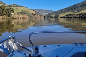 VALE DOURO, Premium Wine Tour, Wine Lunch, Private Boat - The private Douro boat cruise in Pinhão (why it feels worth it)