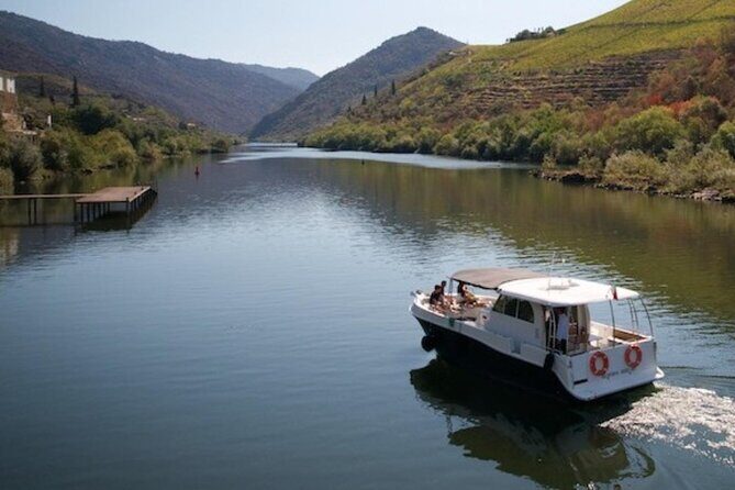 VALE DOURO, Premium Wine Tour, Wine Lunch, Private Boat - First winery stop: Vale do Douro farm tasting and guided visit