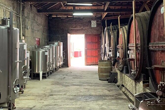 VALE DOURO, Premium Wine Tour, Wine Lunch, Private Boat - The 2nd centenary winery plus DOC, Moscatel, LBV, and Porto Vintage