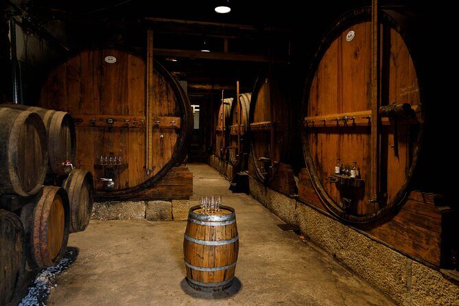 VALE DOURO, Premium Wine Tour, Wine Lunch, Private Boat - Lunch on the farm: wine pairing with time in the cellar