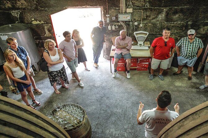 VALE DOURO, Premium Wine Tour, Wine Lunch, Private Boat - N222 road and viewpoints: turning the drive into part of the experience