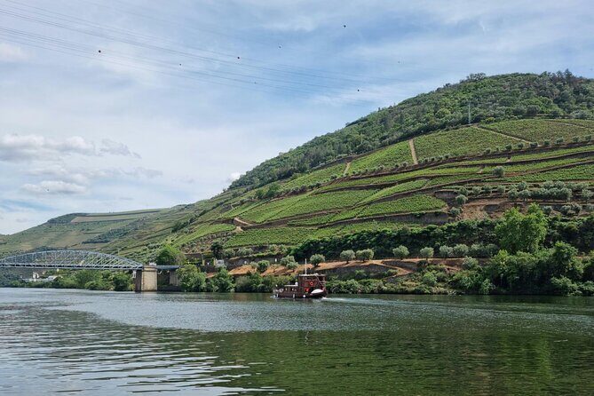 VALE DOURO, Premium Wine Tour, Wine Lunch, Private Boat - Small group (max 8) and guides like Vasco, Luis, and David