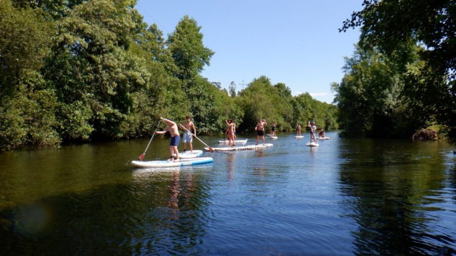 Viana do Castelo: Vez River SUP with Transfer Options - Why the Vez River SUP is such a smart pick in Northern Portugal