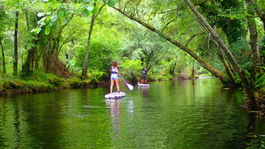 Viana do Castelo: Vez River SUP with Transfer Options - Your 3-hour paddle on the Vez River: what to expect