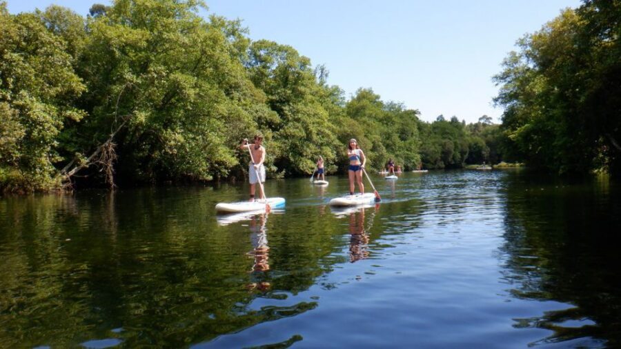 Viana do Castelo: Vez River SUP with Transfer Options - Gear and comfort tips before you go