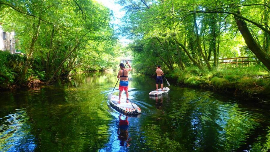 Viana do Castelo: Vez River SUP with Transfer Options - Who this SUP experience suits best