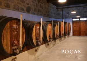 Vila Nova de Gaia: Winery Tour with 2 DOC Douro & 1 Port - The 100-year aging cellar: where Port flavors start to make sense