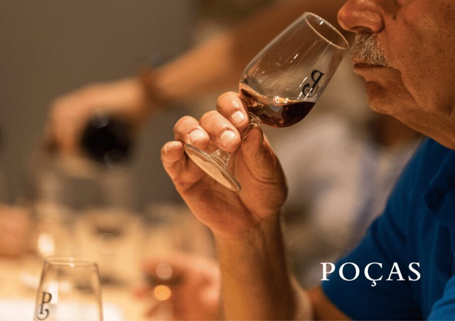 Vila Nova de Gaia: Winery Tour with 2 DOC Douro & 1 Port - Tasting room time: Trava Línguas white and Douro Reserve Red