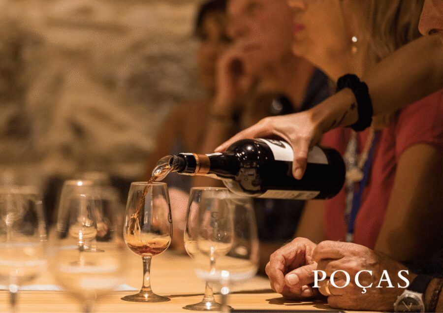 Vila Nova de Gaia: Winery Tour with 2 DOC Douro & 1 Port - One Port included: White/Ruby or Reserve Tawny