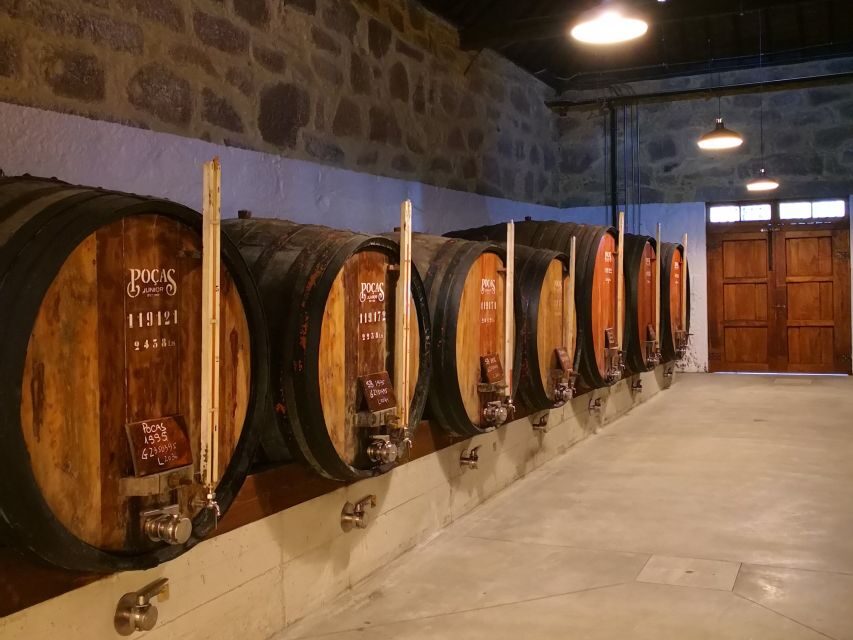 Vila Nova de Gaia: Winery Tour with 2 DOC Douro & 1 Port - Price and value: is $27 for 3 wines a fair deal?