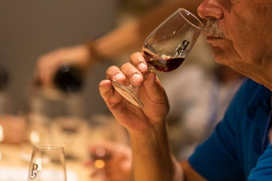 Vila Nova de Gaia: Winery Tour with 2 DOC Douro & 1 Port - Who should book this tour (and who might skip it)
