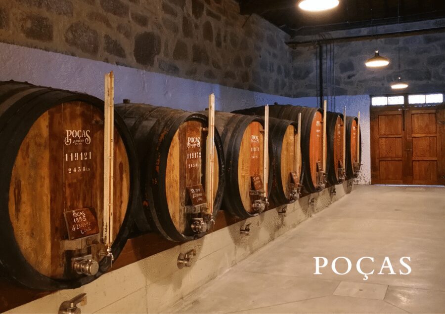 Vila Nova de Gaia: Winery Tour with 2 DOC Douro & 1 Port - The 100-year aging cellar: where Port flavors start to make sense