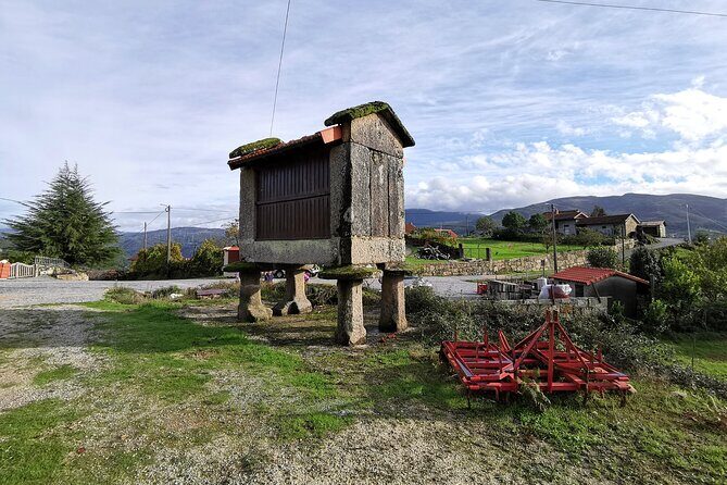 Waterfall, Lagoon and Old Village in Peneda-Gerês National Park - Lunch with green wine: the comfort break you’ll actually look forward to