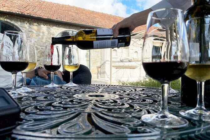 Wine Tasting with Tapas Walking Tour in Porto - Who should book this Porto wine tasting walk?