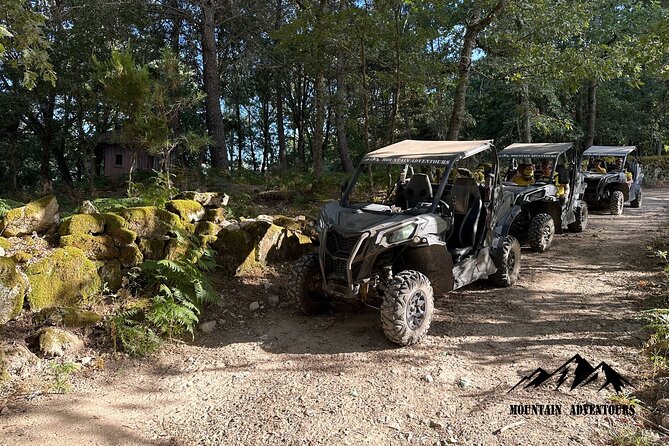 30 minutes Buggy Ride - Key highlights before you go