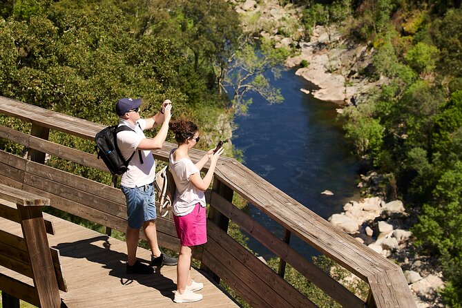516 Arouca Bridge & Paiva Walkways Tour with Lunch from Porto - Alvarenga lunch: family restaurant plates with vinho verde