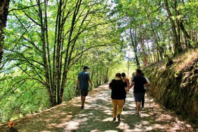 An adventure through the Schist Villages of Lousã - The Guide Factor: Why Sérgio Forte Changes the Day