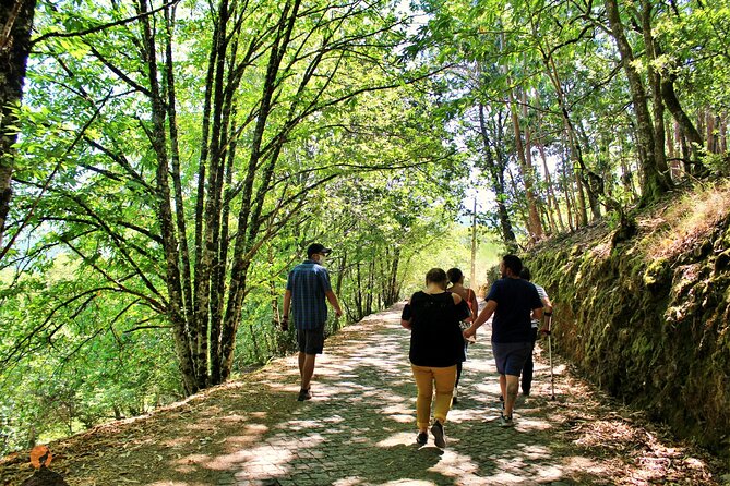 An adventure through the Schist Villages of Lousã - The Guide Factor: Why Sérgio Forte Changes the Day