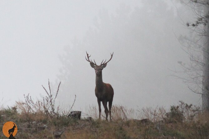 Discovering Nature in Serra da Lousã - Pickup from Coimbra and the Parque Verde do Mondego warm-up