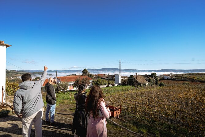 DOURO VALLEY: Lunch in a winery, tastings & 1-h private boat tour - The scenic drive to Peso da Régua: when the road is the attraction
