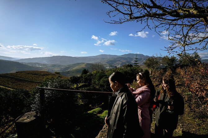 DOURO VALLEY: Lunch in a winery, tastings & 1-h private boat tour - Port tasting and a “slow down” finale
