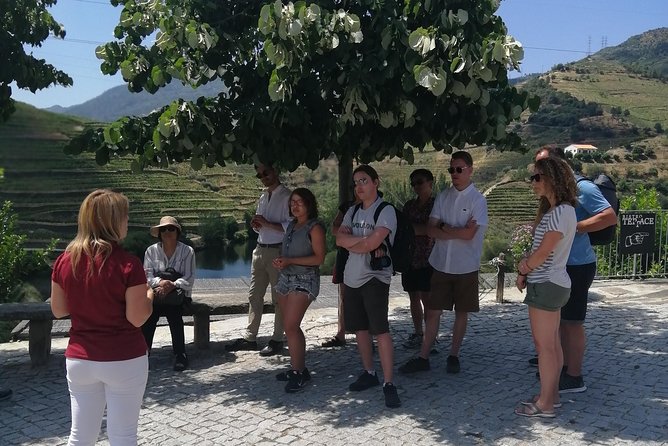 DOURO VALLEY: Lunch in a winery, tastings & 1-h private boat tour - Boat-ride reality check: seating, rain, and photo expectations