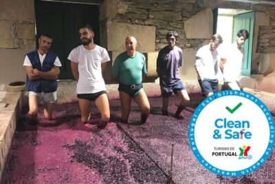 Douro Valley Premium Private - The Road Trip to the Douro: Stops, Views, and Giant Stairs