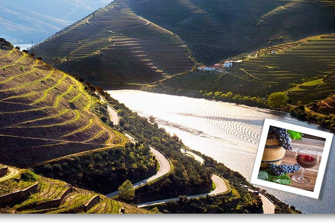 Douro Valley Private Premium Tour with Wine Tasting (1 to 4 people) - Lamego’s Estate Time: Wine Tasting and a Proper Lunch Break