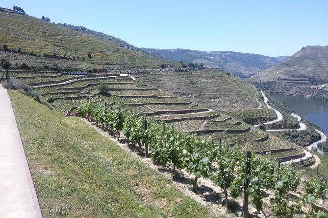 Douro Valley Private Premium Tour with Wine Tasting (1 to 4 people) - Price and Value for Two: Does $636.78 Make Sense?