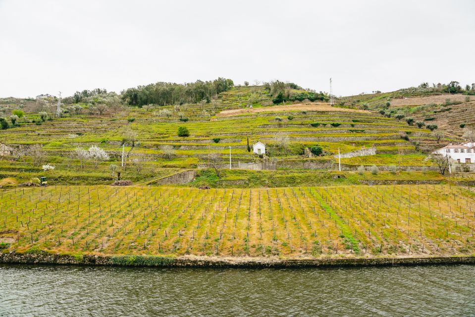 From Porto: Douro River Cruise to Régua with Lunch - Lunch onboard: the part that feels like a real meal