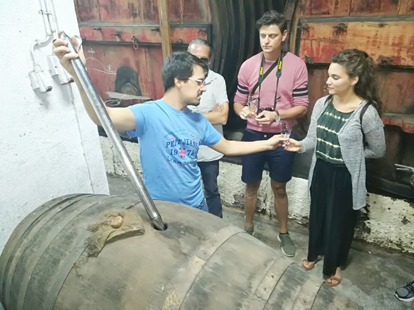 From Porto: Douro Valley 3 Vineyards Tour with Lunch - Group size, guide energy, and comfort details that matter