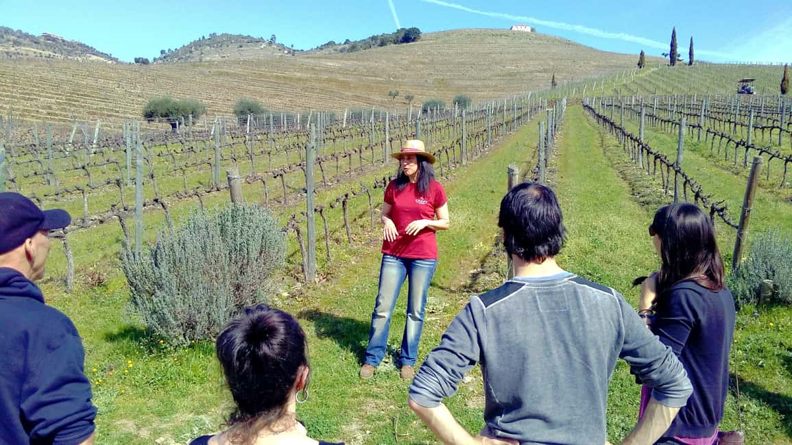 From Porto: Douro Valley 3 Vineyards Tour with Lunch - The sighting break: a breather for photos and river air