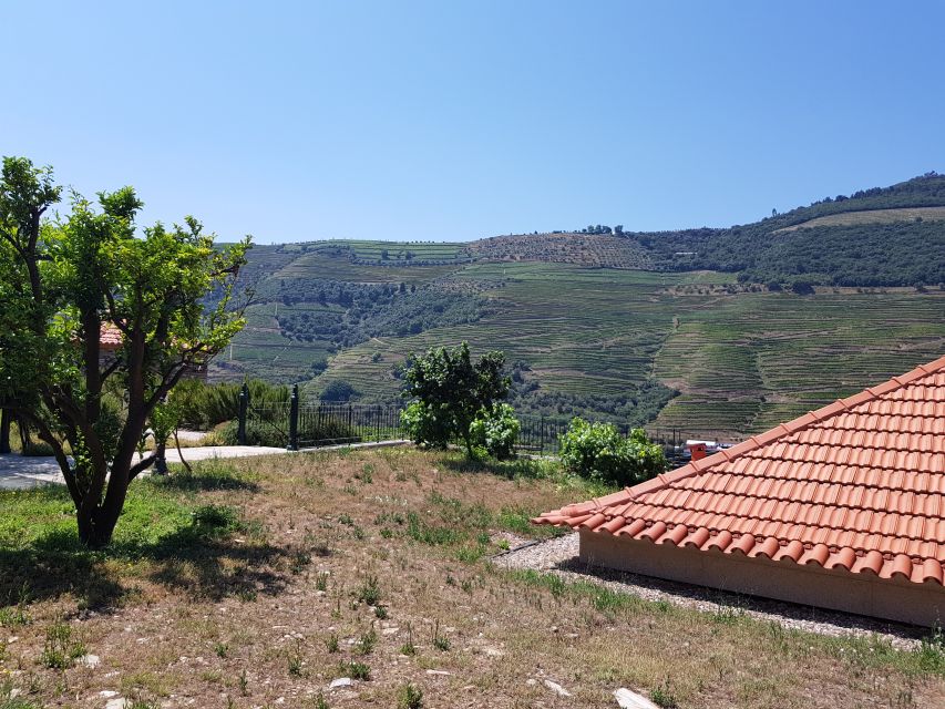 From Porto: Douro Valley 3 Vineyards Tour with Lunch - Lunch at the vineyard: local plates and the house wines