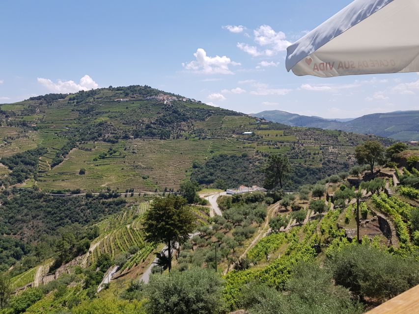 From Porto: Douro Valley 3 Vineyards Tour with Lunch - Older-vineyard visit: Port and DOC tastings in an awe-prone setting