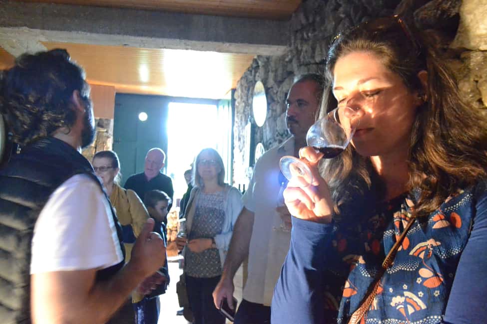 From Porto: Douro Valley 3 Vineyards Tour with Lunch - Wine tasting without getting overwhelmed: a practical approach