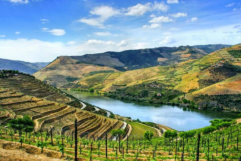 From Porto: Douro Valley with Wineries, Lunch and Boat Trip - Getting out of Porto: meeting at Igreja da Lapa and the van ride