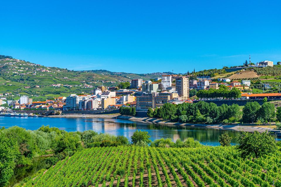 From Porto: Full-Day Douro Valley Trip - Second winery stop in Pinhão: Port tasting plus olive oil