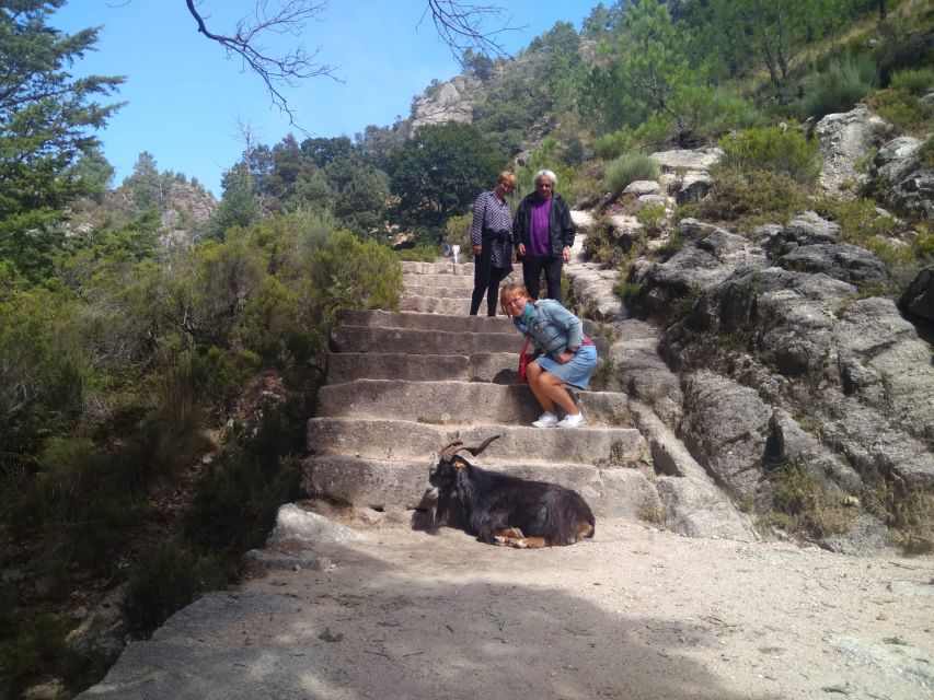 From Porto: Guided tour to Gerês Park - The morning flow: villages, easy walking, and guided context