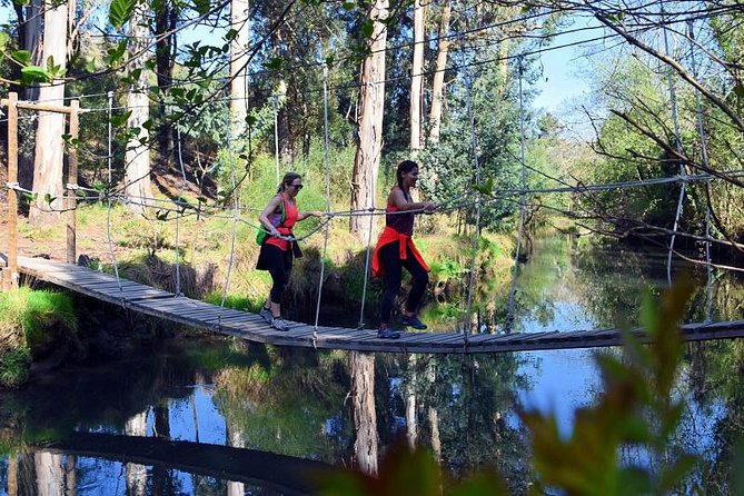Half-day Hike & Picnic with Dog Love in Porto's Mountains - Sao Bento meet-up and the quick road-to-hills start
