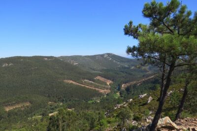 Half-day Hike & Picnic with Dog Love in Porto's Mountains - The picnic lunch: why it’s more than included food