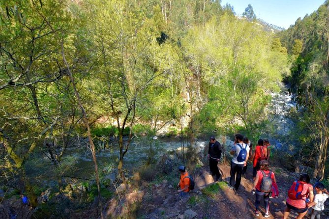 Half-day Hike & Picnic with Dog Love in Porto's Mountains - Should you book this half-day hike and picnic with Dog Love?