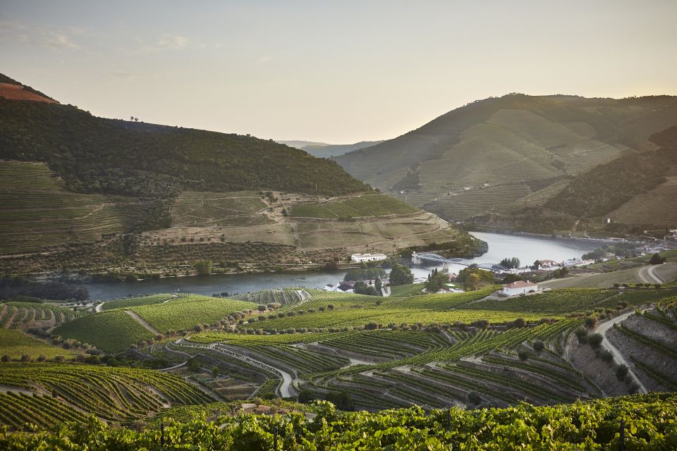 Pinhão: Quinta do Bomfim Visit and Tasting - The 1896 lodge, vat room, and barrel cellar where harvest waits