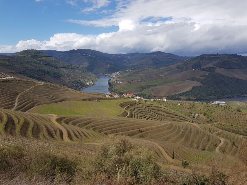 Porto: 3 Douro Valley Vineyards Tour with Lunch - Value for $129: What You’re Actually Getting