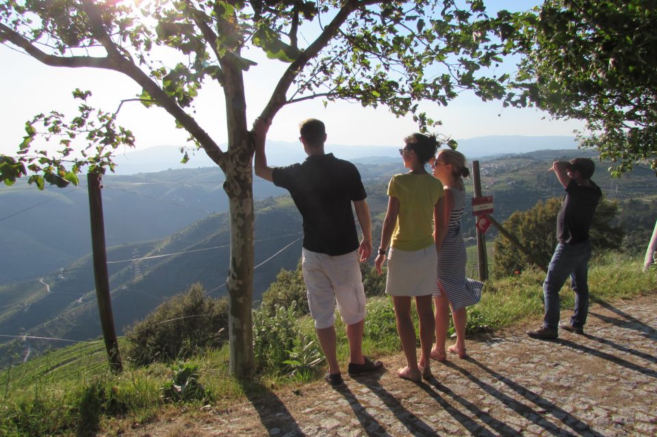 Porto: 3 Douro Valley Vineyards Tour with Lunch - Stop 1: Family Vineyard Tour and First Tasting (Port + DOC)